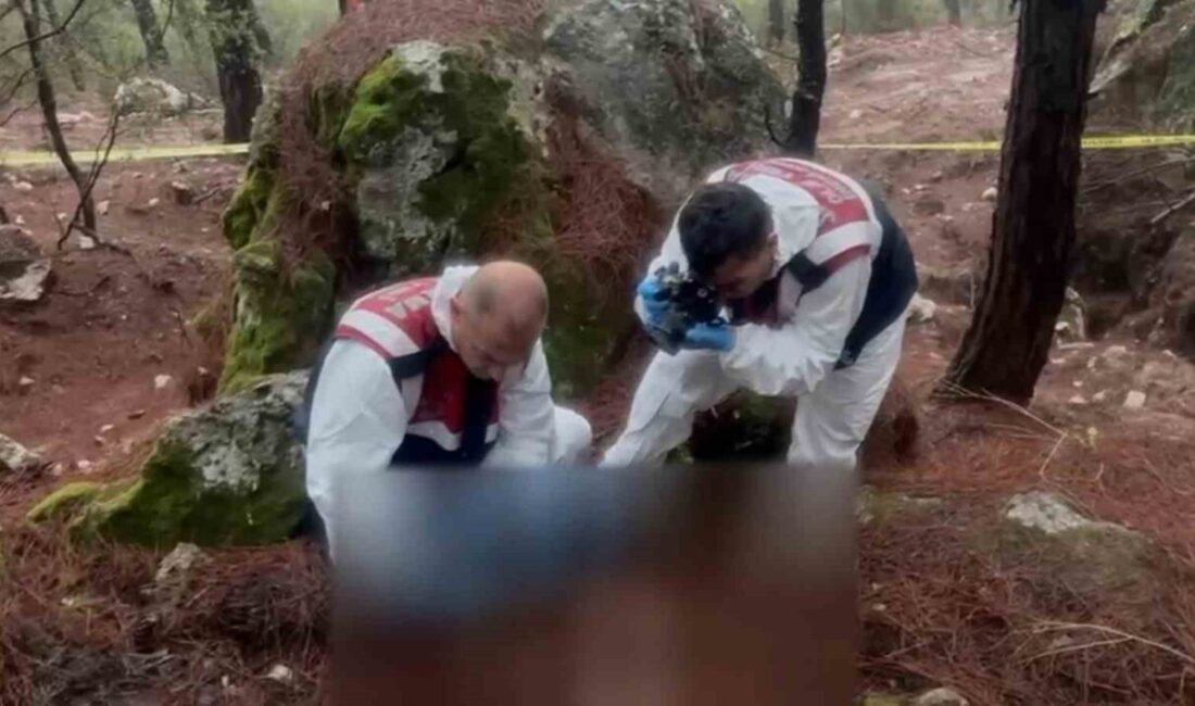 Fethiye’de 20 yıl önce meydana gelen cinayetle ilgili 4 sanığın