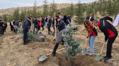 Yerköy İlçe Tarım ve Orman Müdürlüğü, 11 Kasım Milli Ağaçlandırma