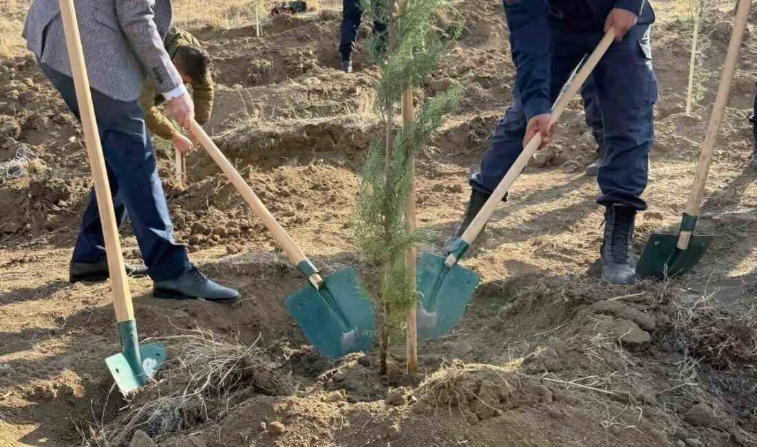 Ankara’nın Evren ilçesinde 11 Kasım Milli Ağaçlandırma Günü dolayısıyla ülke