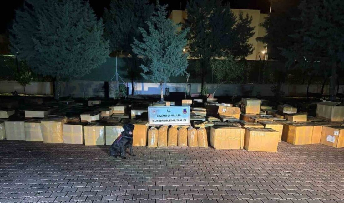 Gaziantep’in Araban ilçesinde gerçekleştirilen arama operasyonunda bir araçta yapılan aramalarda