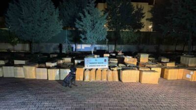 Gaziantep’in Araban ilçesinde gerçekleştirilen arama operasyonunda bir araçta yapılan aramalarda