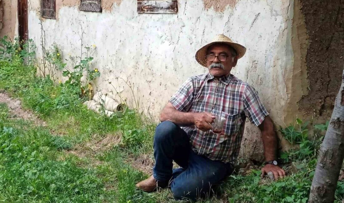 Gümüşhane’nin Çamlıköy köyünde dün akşamdan beri kayıp olan yaşlı bir