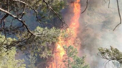 Hatay’ın Belen ilçesinde Kömürçukuru Mahallesi’nde çıkan orman yangınına itfaiye ve