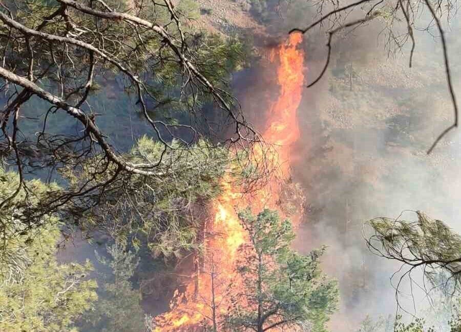 Hatay’ın Belen ilçesinde Kömürçukuru Mahallesi’nde çıkan orman yangınına itfaiye ve