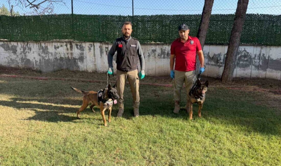 Batman İl Emniyet Müdürlüğü bünyesinde faaliyet gösteren Narkotik Suçlarla Mücadele