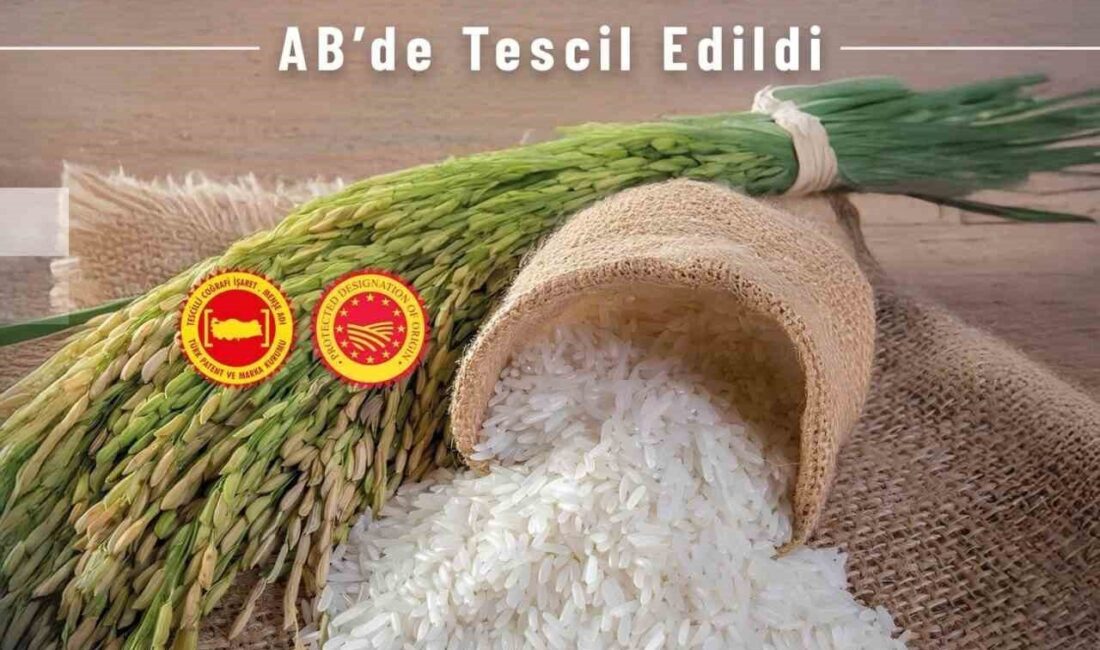 Sanayi ve Teknoloji Bakanı Mehmet Fatih Kacır, Uluslararası Coğrafi İşaret