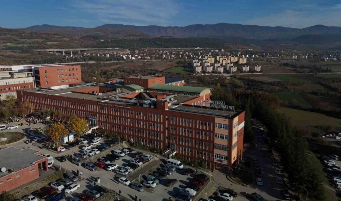 Bolu’nun Göynük ilçesindeki bir enerji santralinde yaşanan olay, şaka adı