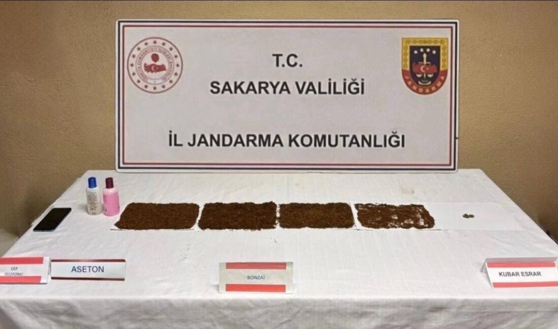 Sakarya’nın Serdivan ilçesinde jandarma ekipleri tarafından gerçekleştirilen uyuşturucu operasyonunda yakalanan