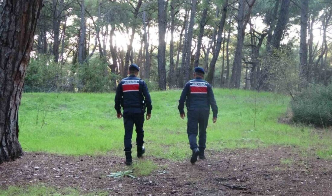 Manavgat ilçesinde vatandaşların ormanlık alanlara giriş yaparak mangal ve ateş