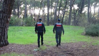 Manavgat ilçesinde vatandaşların ormanlık alanlara giriş yaparak mangal ve ateş