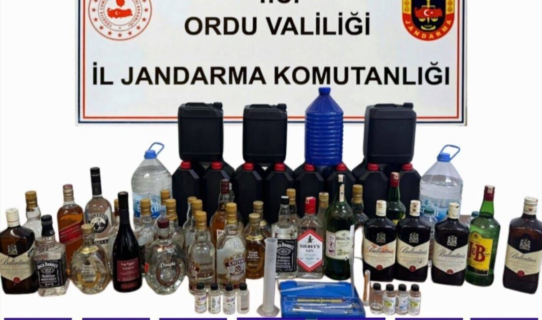 Ordu İl Jandarma Komutanlığı tarafından, yaklaşan yılbaşı öncesi sahte ve