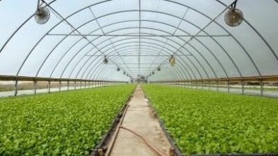 Yerköy Belediye Başkanı Fatih Arslan, Yerköy Ticaret ve Sanayi Odası