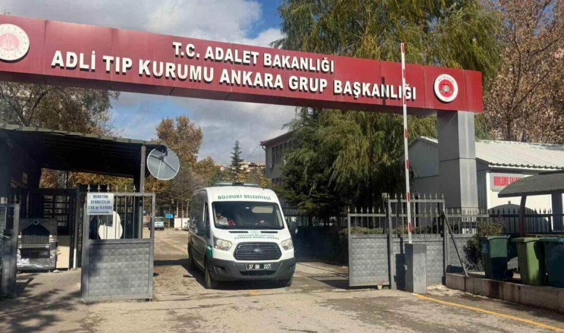 Kastamonu’nun Bozkurt ilçesinde kaybolduktan 9 gün sonra cesetleri bulunan anne