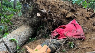 Trabzon’un Vakfıkebir ilçesine bağlı Karadağ Yaylası’nda bir kişinin hayatını kaybetmesine