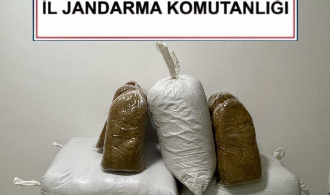 Kırşehir İl Jandarma Komutanlığı ekiplerince gerçekleştirilen operasyonda 230 kilogram kaçak