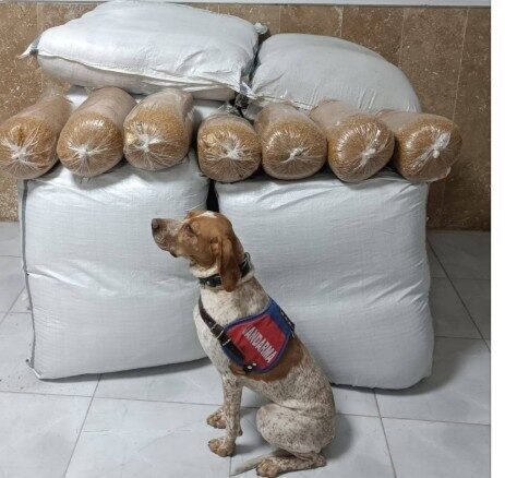 KIRŞEHİR (İHA) – Kırşehir İl Jandarma Komutanlığı ekipleri tarafından yapılan