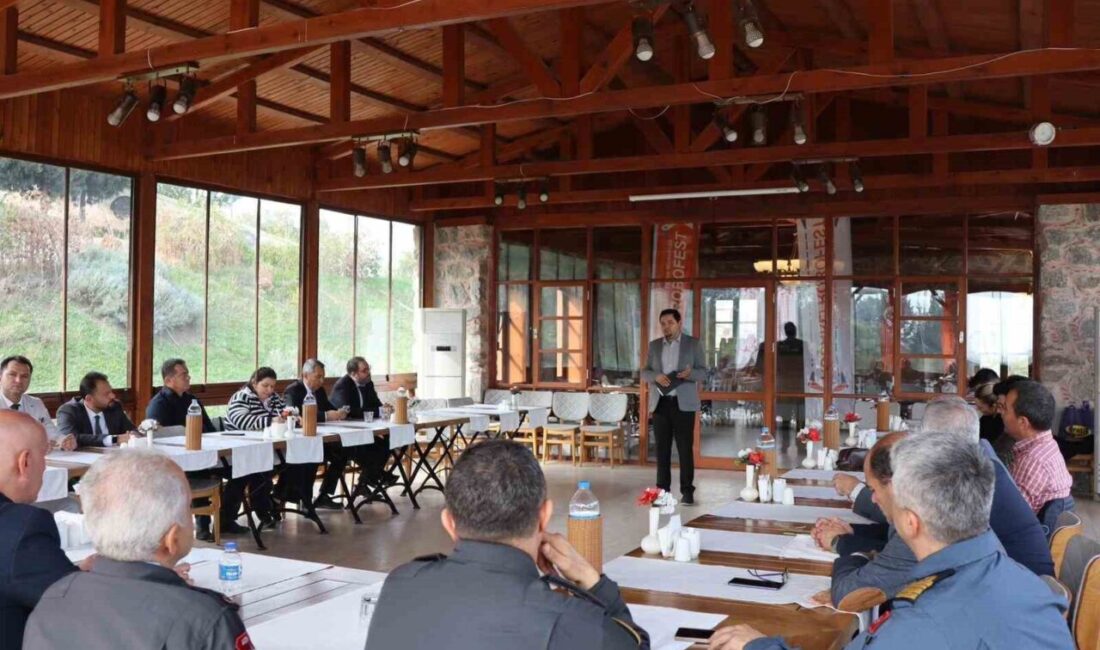 Koçarlı İlçe Milli Eğitim Müdürlüğü tarafından bu yıl 6’ncısı düzenlenecek