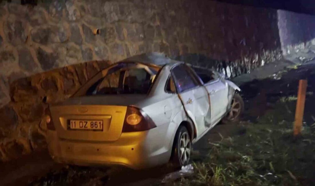 Sakarya ilinin Adapazarı ilçesinde meydana gelen bir trafik kazasında, bir
