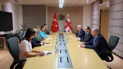 Gürcistan İçişleri Bakanı Gela Geladze, Türk Hava Kuvvetleri Komutanlığı Değerlendirme