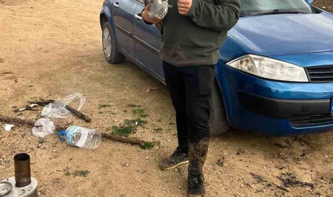 İki genç, doğa gezisi sırasında bir mavi balıkçıl kuşunun ağaca