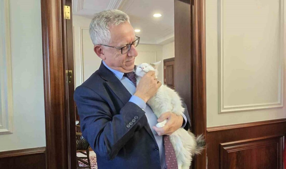 Yozgat Belediye Başkanı Kazım Arslan hayvan sevgisini hem makam odasında