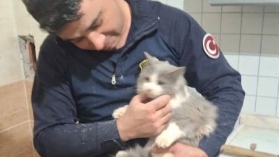 Malatya’da yaşanan olayda, Battalgazi ilçesindeki Boran Mahallesi Kırkgöz Caddesi’nde bir