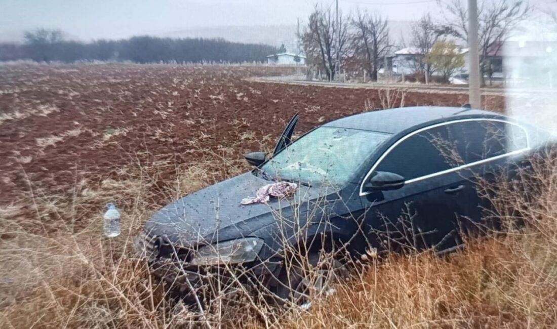 Malatya’da bir aracın sürücüsünün kontrolünden çıkarak tarlaya girdiği trafik kazasında