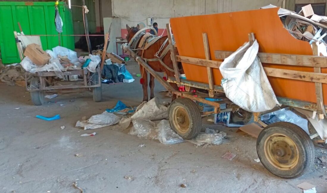 Salihli ilçesinde, polis ve zabıta ekipleri, at arabalı hırsızlık olaylarına