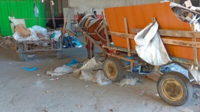 Salihli ilçesinde, polis ve zabıta ekipleri, at arabalı hırsızlık olaylarına