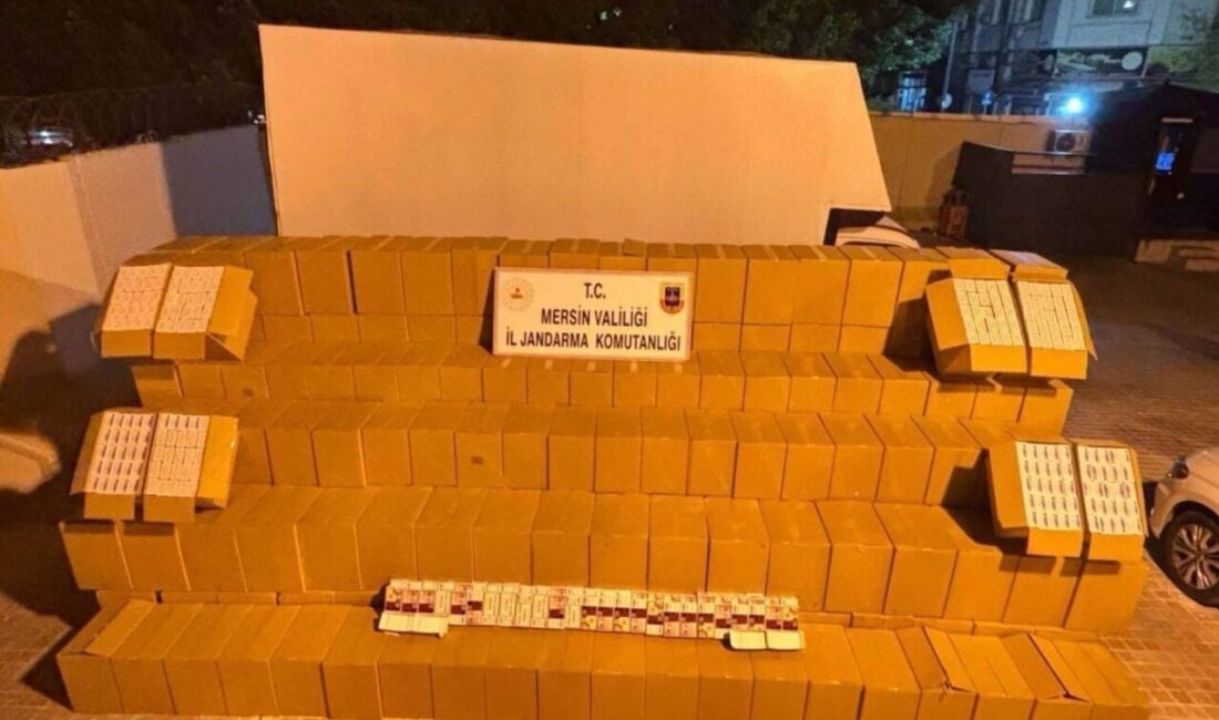 Mersin’de sigara kaçakçılığıyla mücadele kapsamında düzenlenen operasyonlarda 2 kişi gözaltına