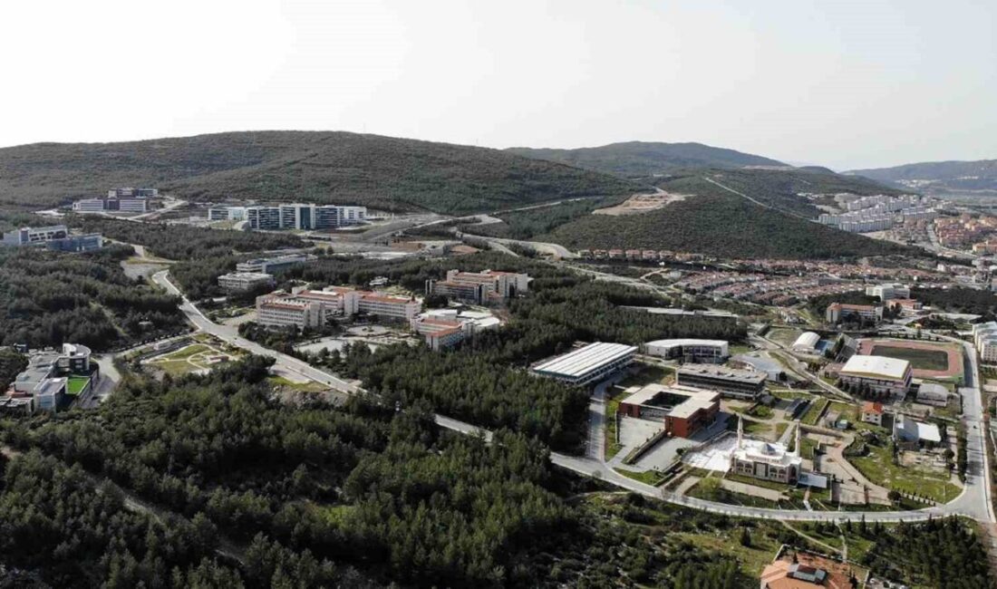 MSKÜ’nün 8 topluluk projesi, ÜNİDES 2025 kapsamında açıklanan 5.dönem başvuru