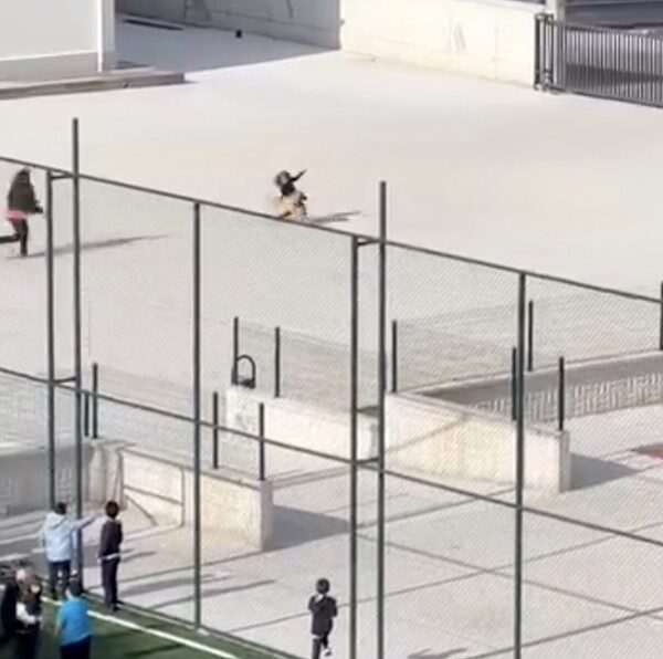 Çorum’da ilkokulun bahçesine giren başıboş köpek, teneffüste olan öğrencilere büyük