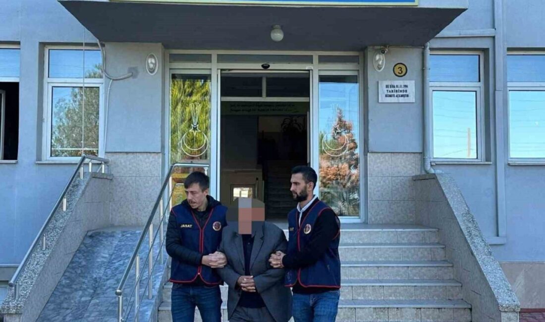 Ordu’da jandarma ekipleri tarafından gerçekleştirilen operasyonlarda, kesinleşmiş hapis cezası bulunan