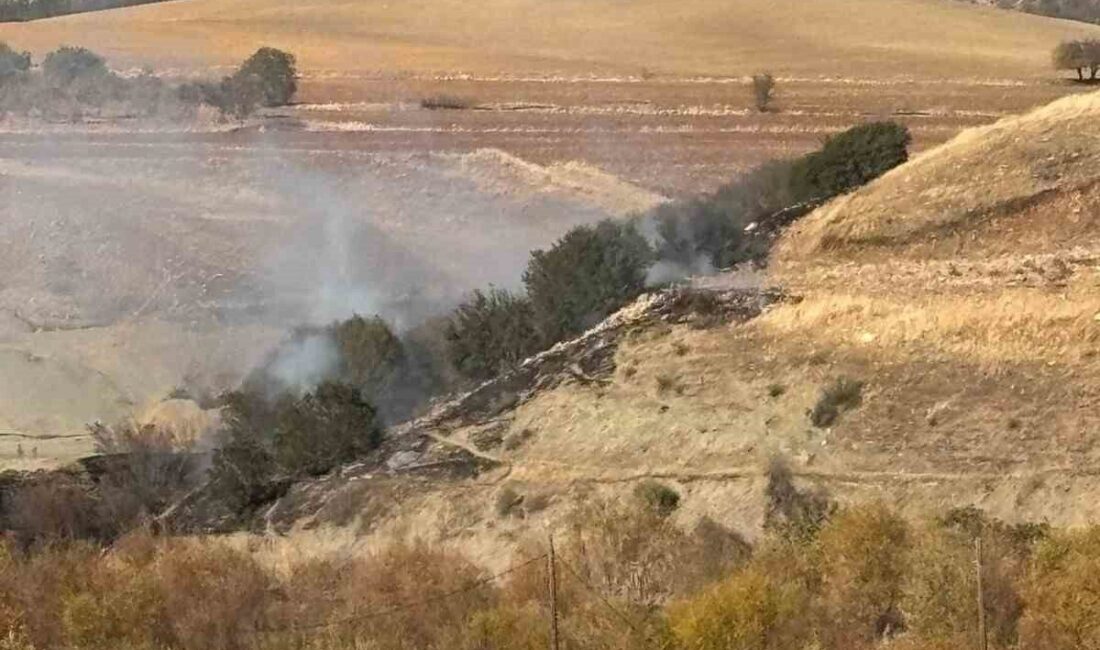 Besni ilçesinde meydana gelen orman yangınında ekipler tarafından hızlı müdahale