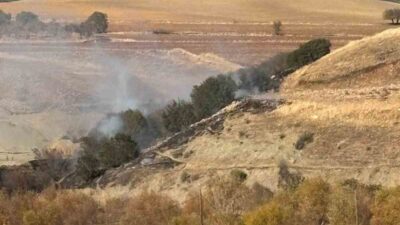 Besni ilçesinde meydana gelen orman yangınında ekipler tarafından hızlı müdahale