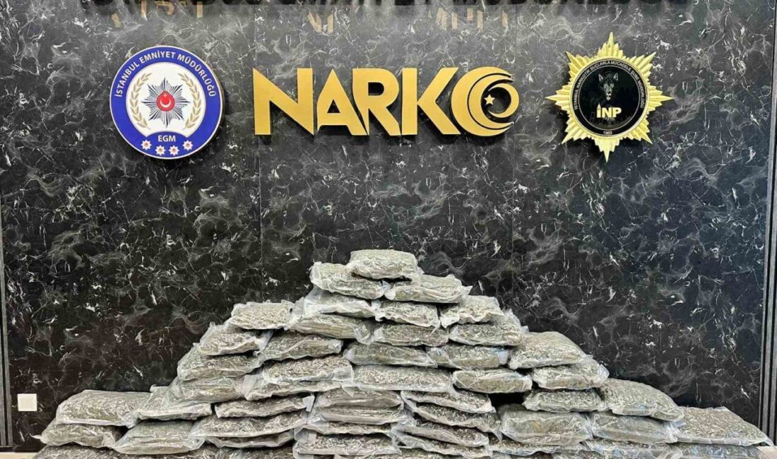 İstanbul’un Pendik ilçesinde gerçekleştirilen operasyonda, bir uyuşturucu satıcısına ait ev
