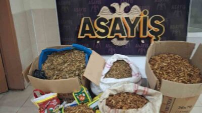 Samandağ ilçesinde yapılan bir operasyonda, durdurulan bir araçta 270 kilogram