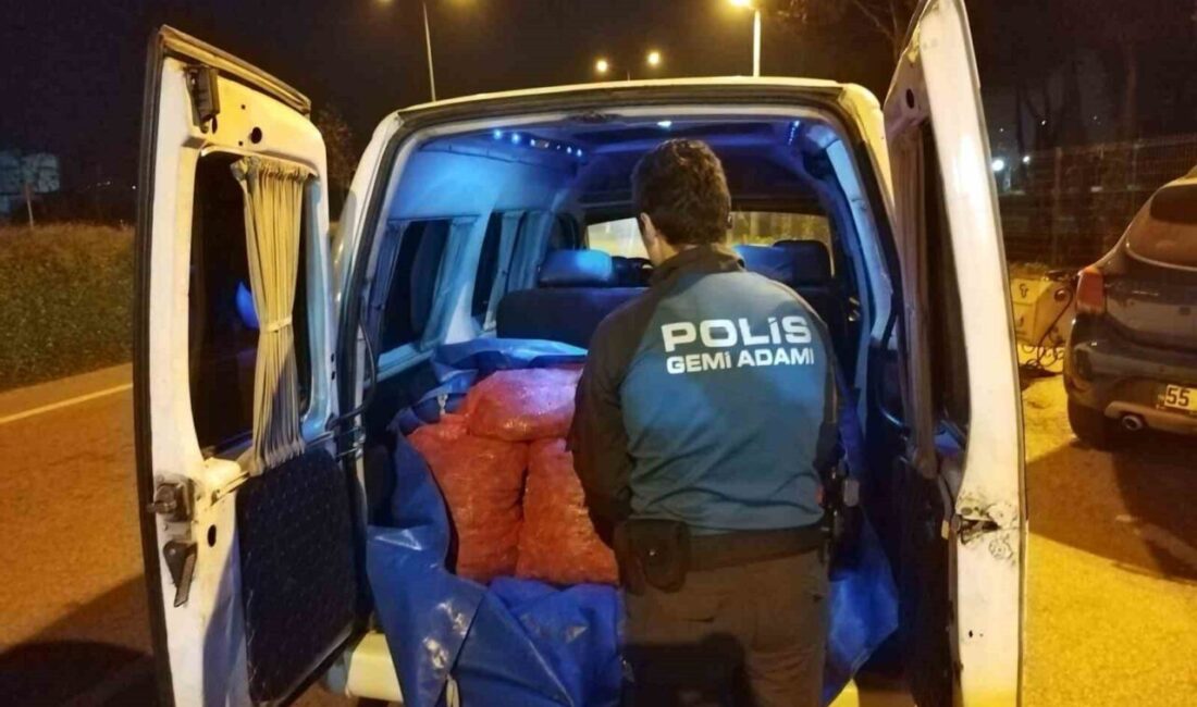 Samsun’da, polis ekipleri tarafından gerçekleştirilen kamyonet kontrollerinde 200 kilogram kaçak