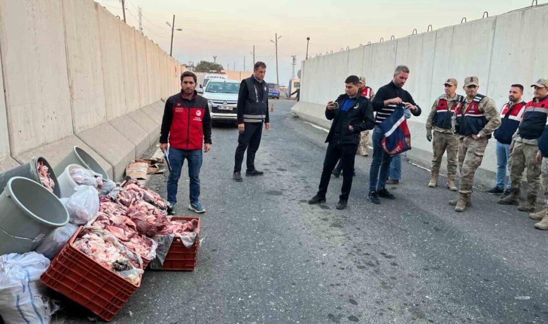 Şanlıurfa’da yapılan kontroller sırasında bir araçta 1 ton kaçak et