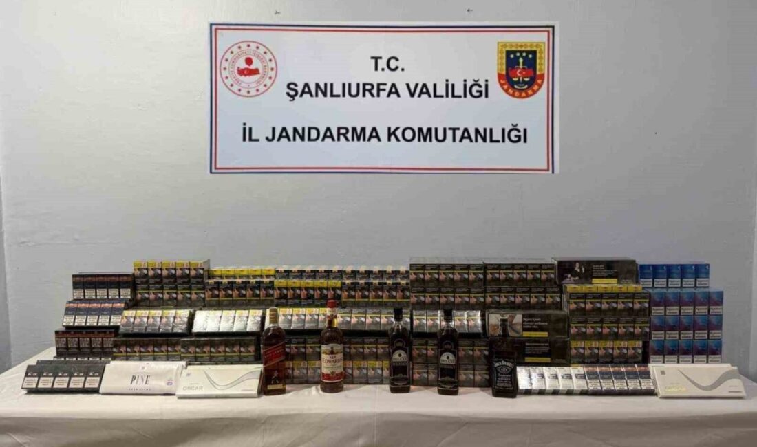 Şanlıurfa’da, gümrük kaçakçılığıyla ilgili operasyonda 3.800 paket sigara, alkollü içkiler,