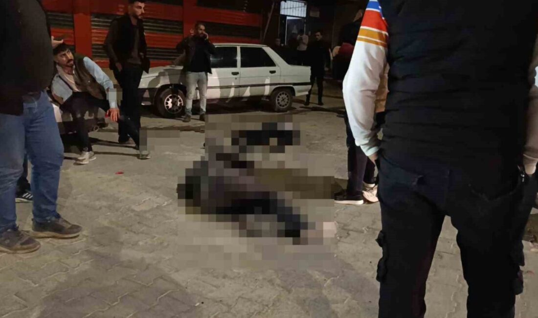 Şanlıurfa’da, akraba iki aile arasında meydana gelen silahlı kavgada 2