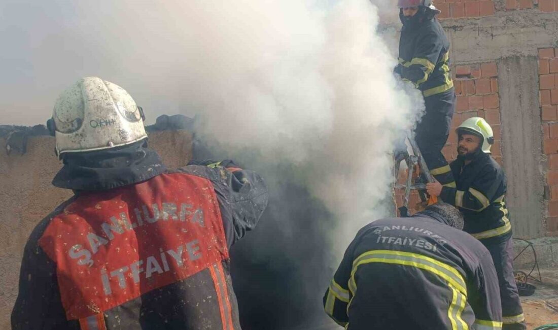 Şanlıurfa’nın Haliliye ilçesine bağlı Yeşildirek Mahallesinde bulunan bir evde meydana