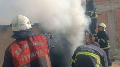 Şanlıurfa’nın Haliliye ilçesine bağlı Yeşildirek Mahallesinde bulunan bir evde meydana