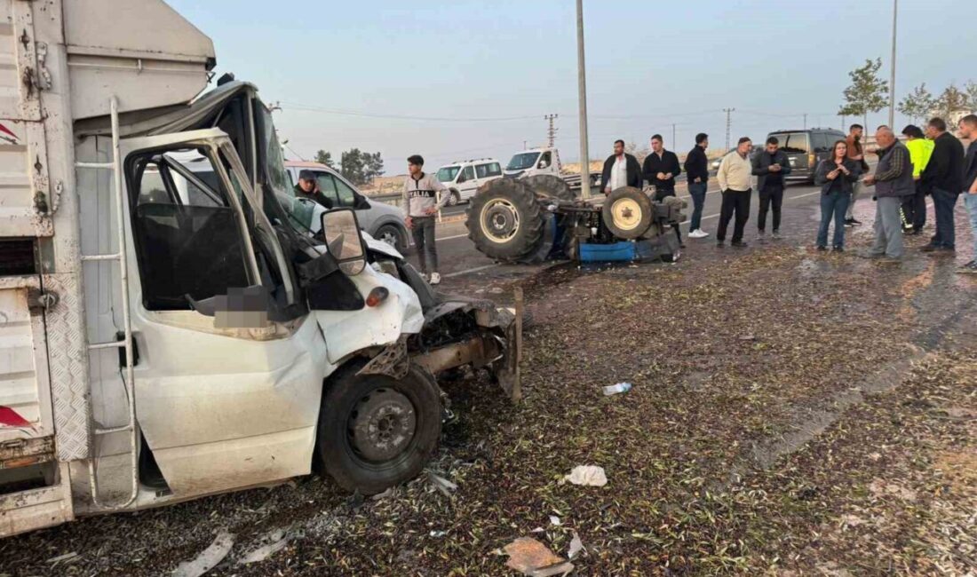 Birecik ilçesinde meydana gelen trafik kazasında, zeytin yüklü bir traktör