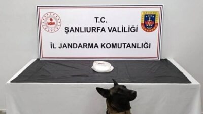 Şanlıurfa’da jandarma ekipleri, narkotik suçlarla mücadele kapsamında Haliliye ilçesinde uyuşturucu