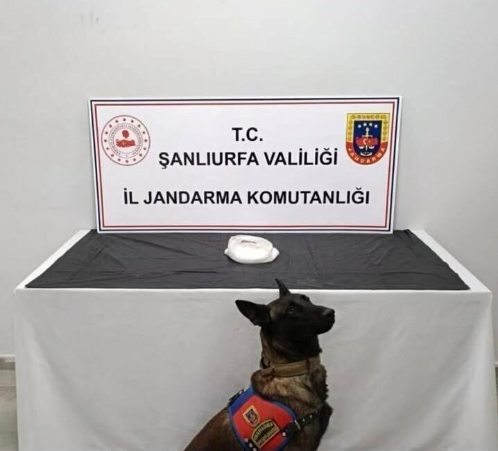 Şanlıurfa’da jandarma ekipleri, narkotik suçlarla mücadele kapsamında Haliliye ilçesinde uyuşturucu