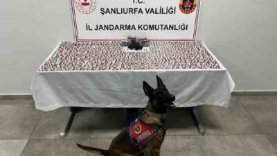 Şanlıurfa’da, uyuşturucu ticareti yaptığı belirlenen kişilere yönelik gerçekleştirilen operasyonda, 2