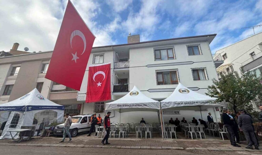 Gürcistan-Azerbaycan sınırında düşen C130 tipi askeri kargo uçağında bulunan Hava