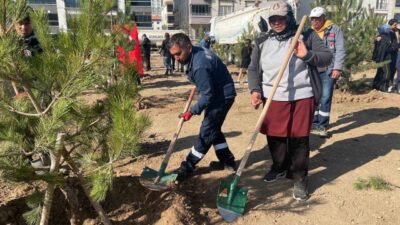 Sincan Belediye Başkanı Murat Ercan, “Sincan’da kişi başına düşen yeşil