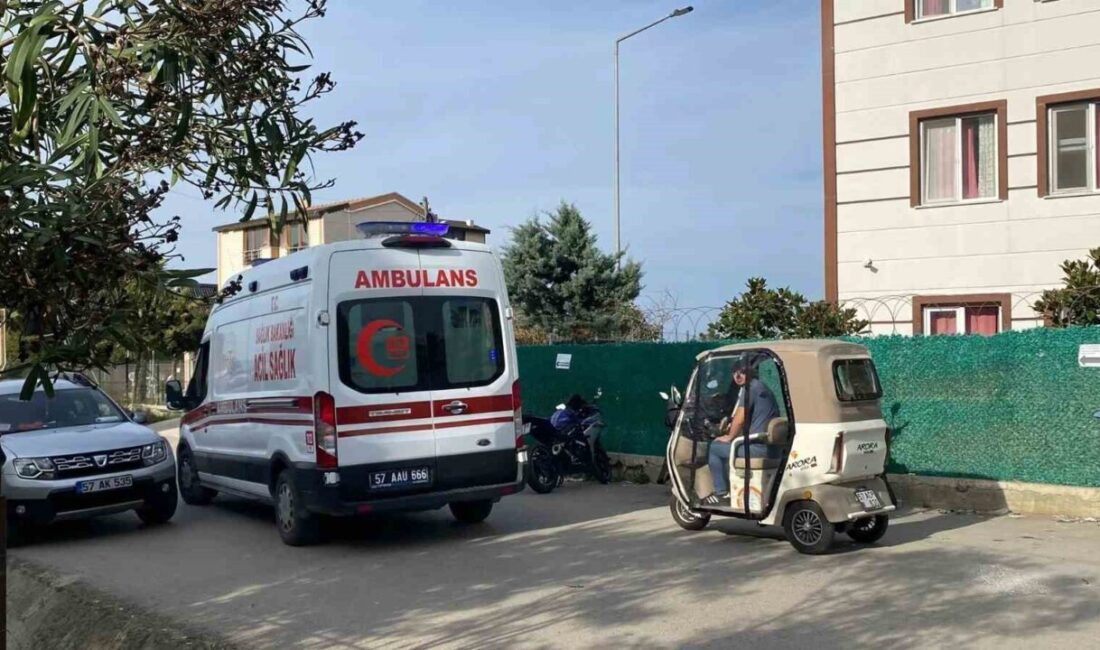 Sinop’ta bir yaşlı adam, evinin önündeki ağacı budarken merdivenden düşerek